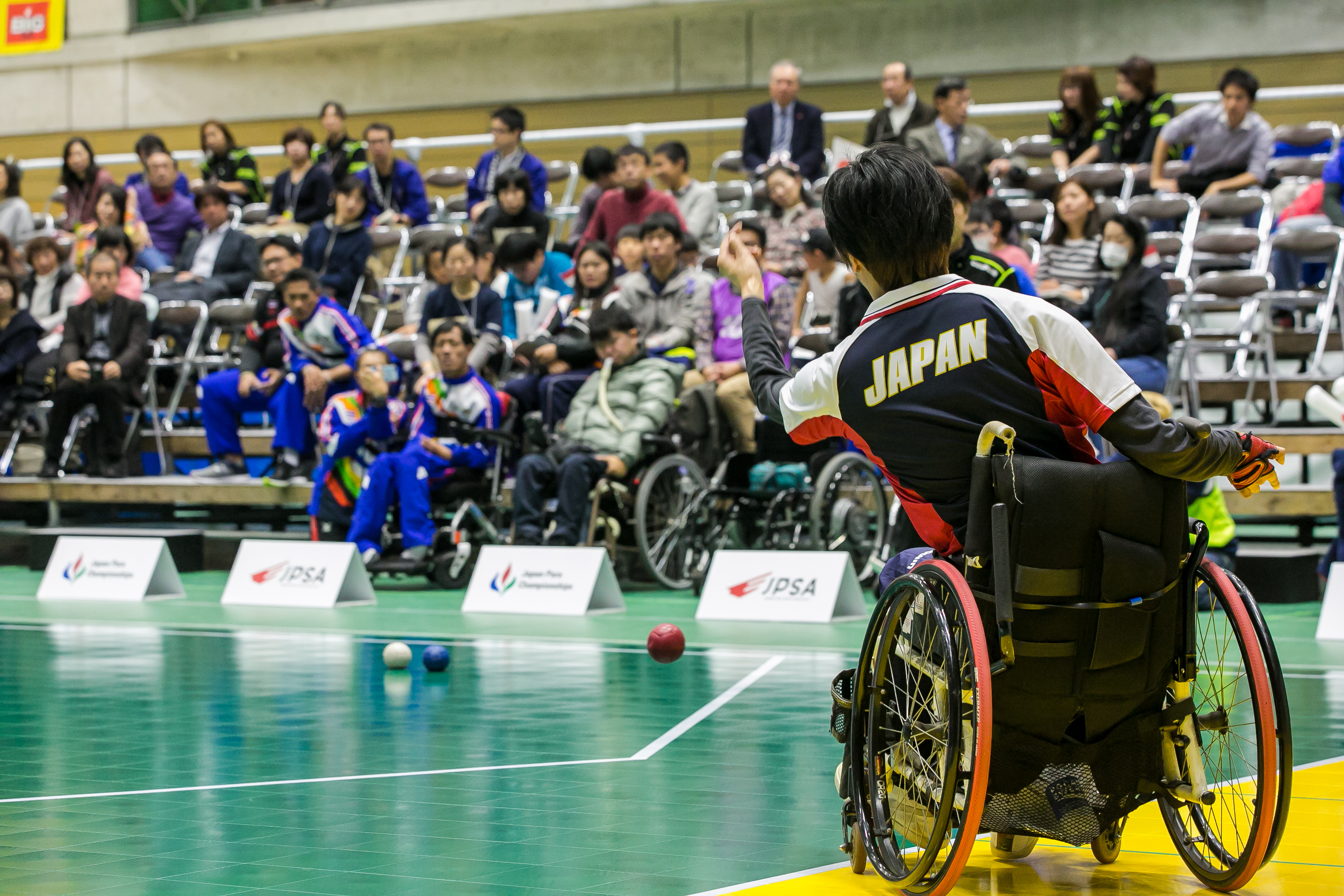 選手たちの写真